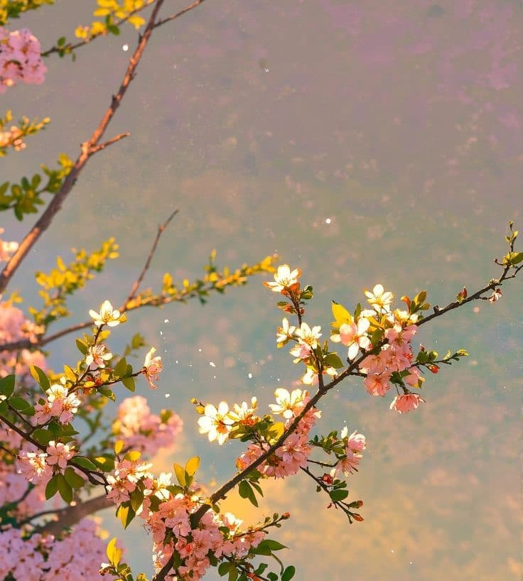 Women embracing wellness
